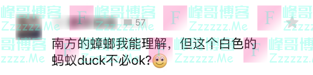 密密麻麻,此虫多地爆发!钻衣服、拆你家…遇到千万别这样做