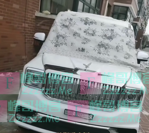 怒虎“懒胜”、兰基尼“牛犊”…这些“雷人豪车”都是哪来的？