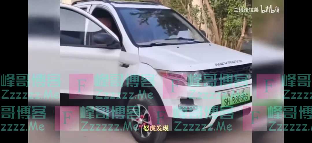 怒虎“懒胜”、兰基尼“牛犊”…这些“雷人豪车”都是哪来的？