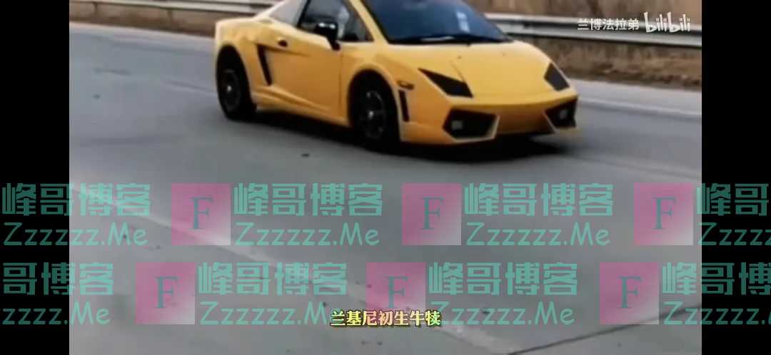 怒虎“懒胜”、兰基尼“牛犊”…这些“雷人豪车”都是哪来的？
