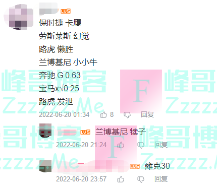 怒虎“懒胜”、兰基尼“牛犊”…这些“雷人豪车”都是哪来的？