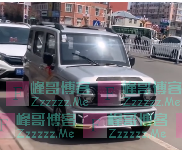 怒虎“懒胜”、兰基尼“牛犊”…这些“雷人豪车”都是哪来的？