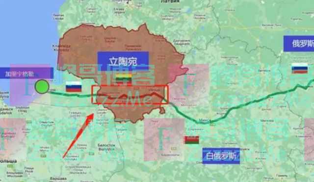 俄“禁运令”回击来得太快!立陶宛秒怂:话是欧盟说的