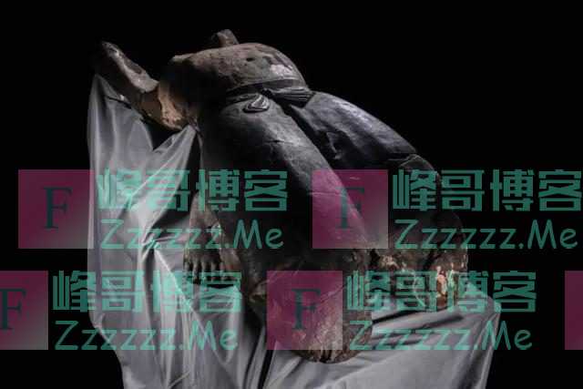 秦陵“仰卧俑”身上发现指纹印痕!比对指纹数据库发现当年细节