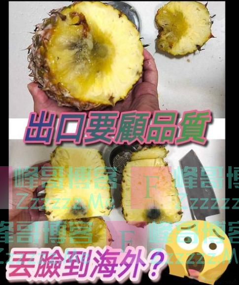 “有害”的台湾石斑鱼加上“民主”两个字就变健康了吗？