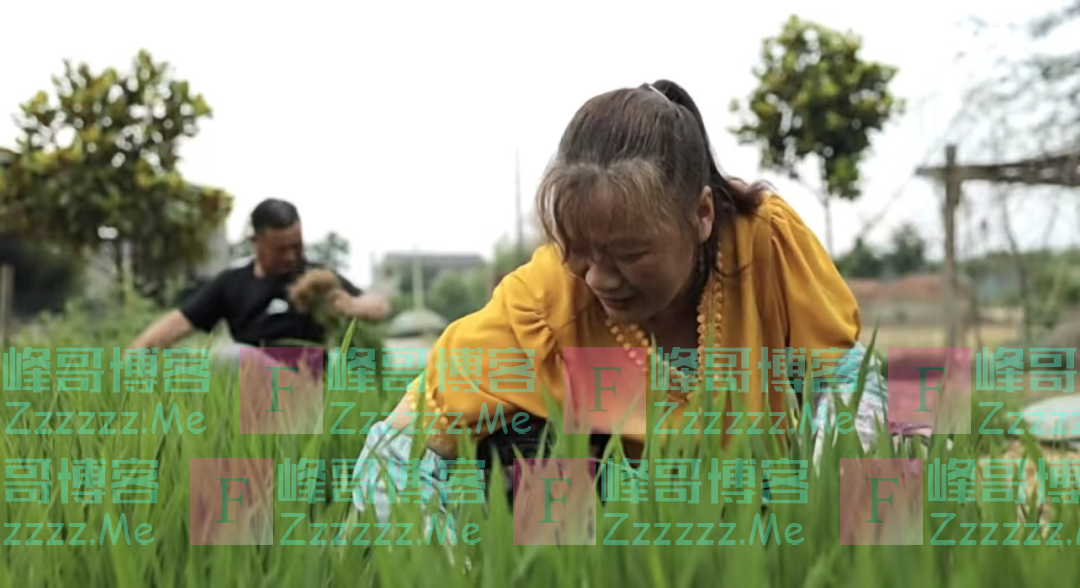 “刘清华”就要上清华了，背后是这样的父母