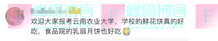 大学生宣传母校成“招生减章”?学校也来“蹭热点”了