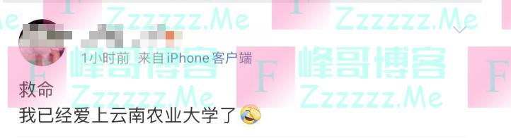 大学生宣传母校成“招生减章”?学校也来“蹭热点”了