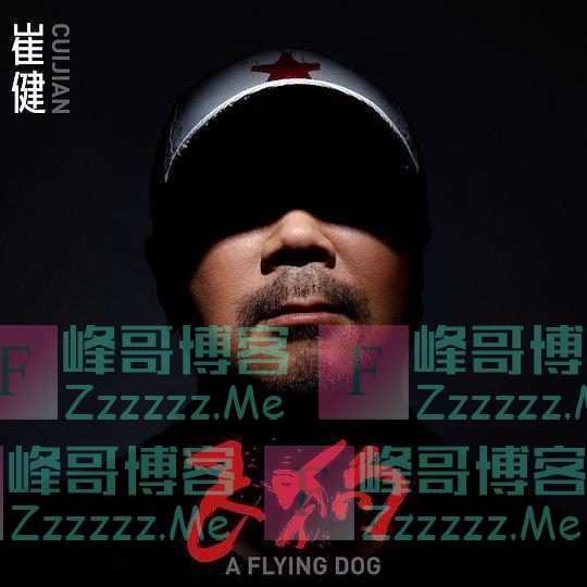 金曲奖“放榜”，崔健首获最佳华语男歌手，蔡健雅四夺最佳华语女歌手