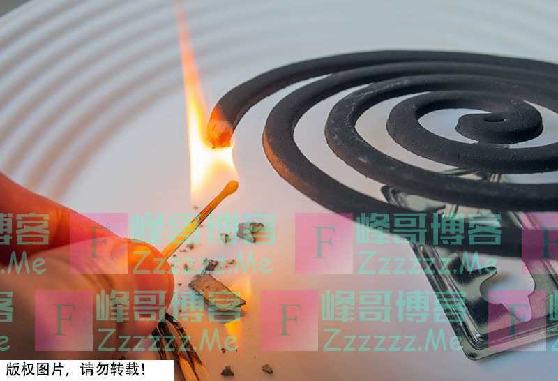为什么蚊香要两片盘在一起?其实根本不用掰开点?看完长知识了