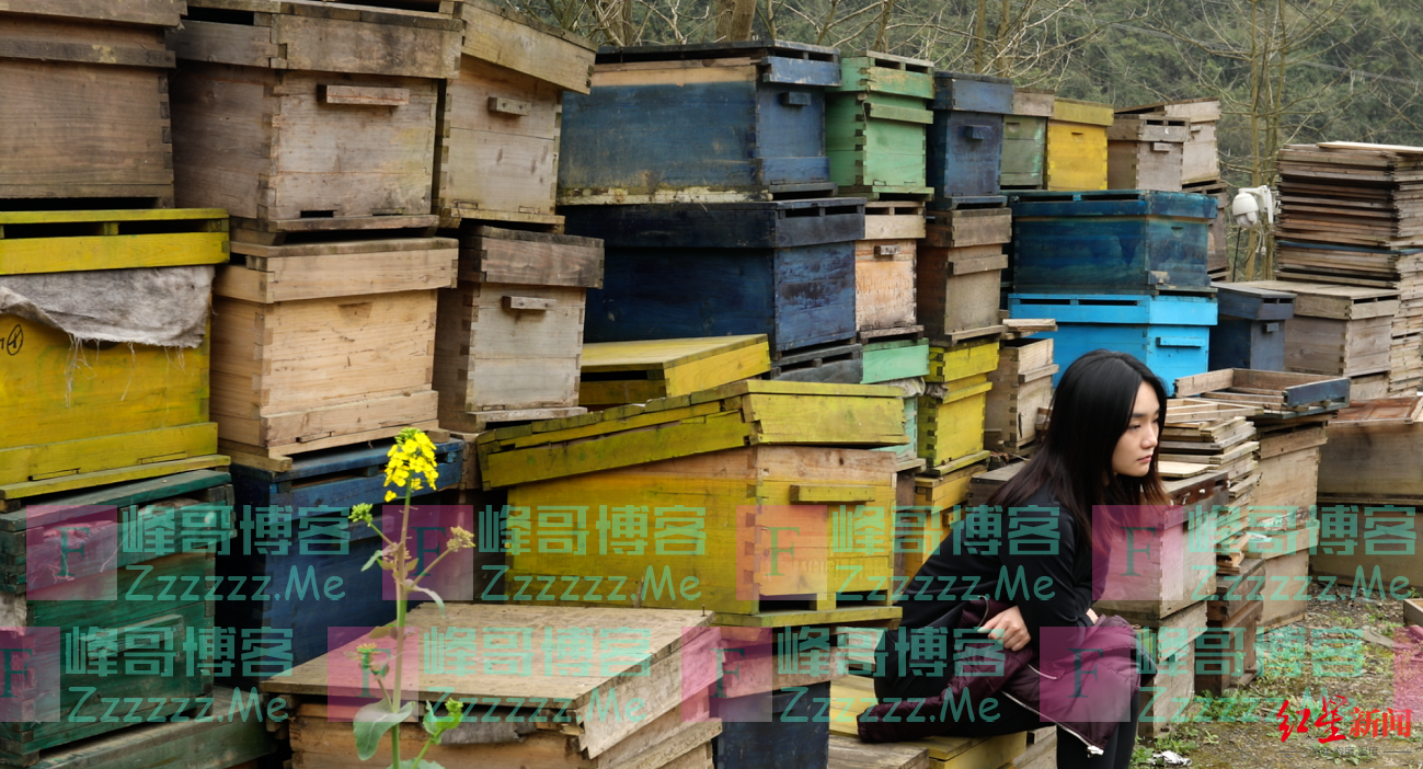 《最后的棒棒》导演新片“难产”:拍摄3年半线上推出至今未定,“熬不住”已解散公司