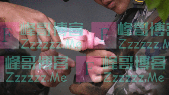 超萌预警!军犬幼崽有多可爱,看完心都要化了