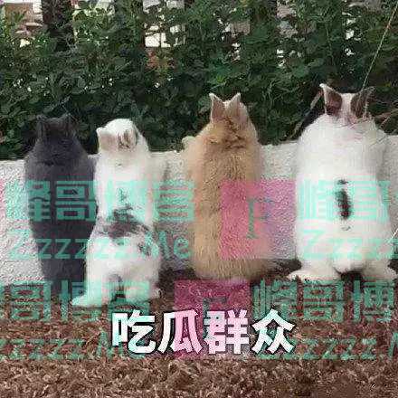 你俩干的事，都被无人机拍下来了！