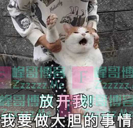 你俩干的事，都被无人机拍下来了！