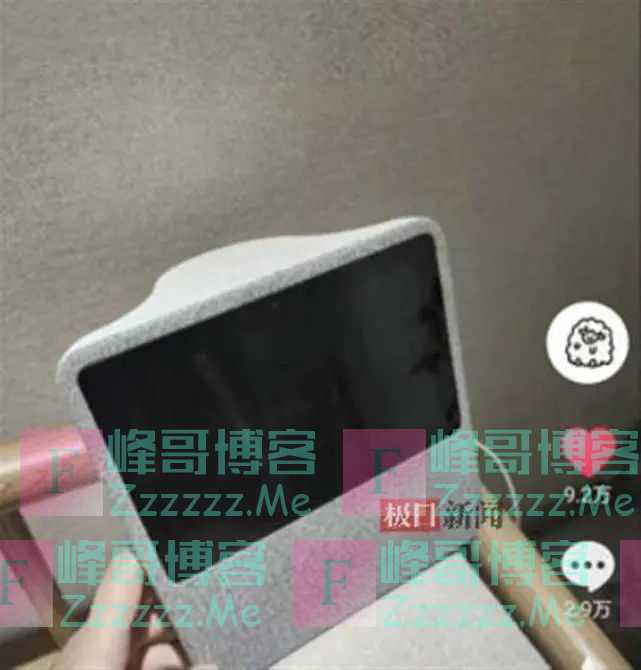 女子民宿中玩智能音箱，发现多名房客被拍！涉事品牌回应