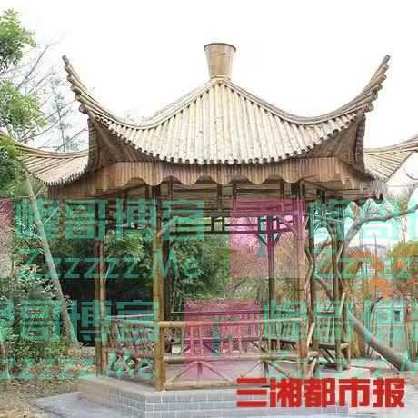 郴州小伙留守深山6年，打造“竹子王国”