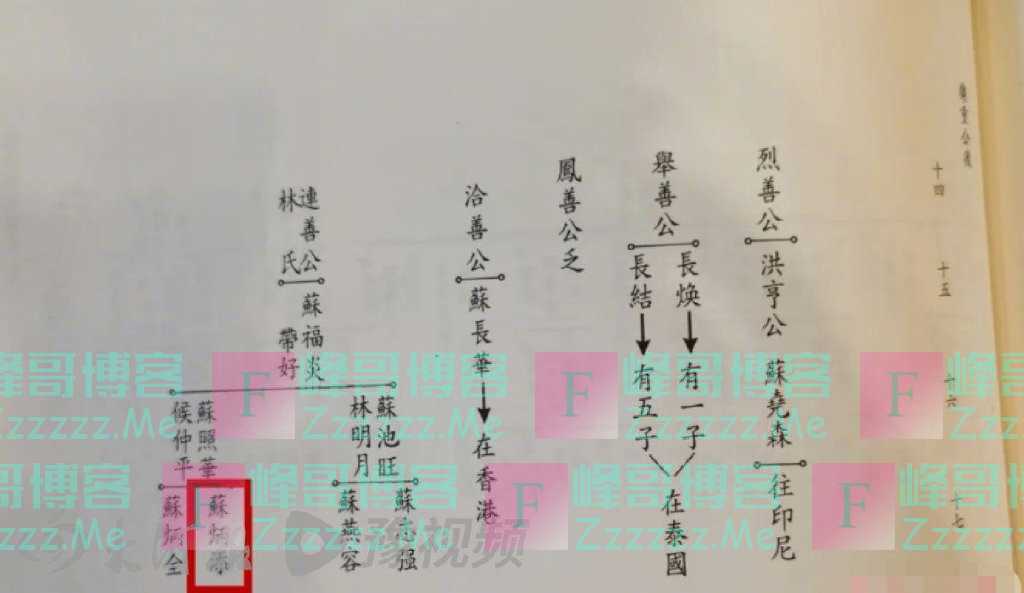 苏炳添是不是苏轼后人？苏辙后人发声：元代苏氏族谱没有这一脉人