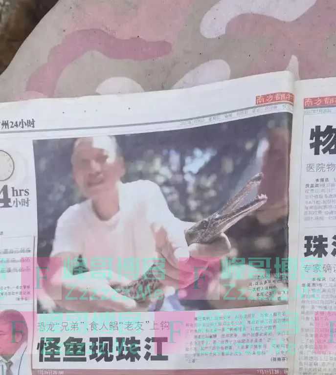 “不敢放生啊！”男子钓到一条怪鱼：养了15年，换了3次鱼缸