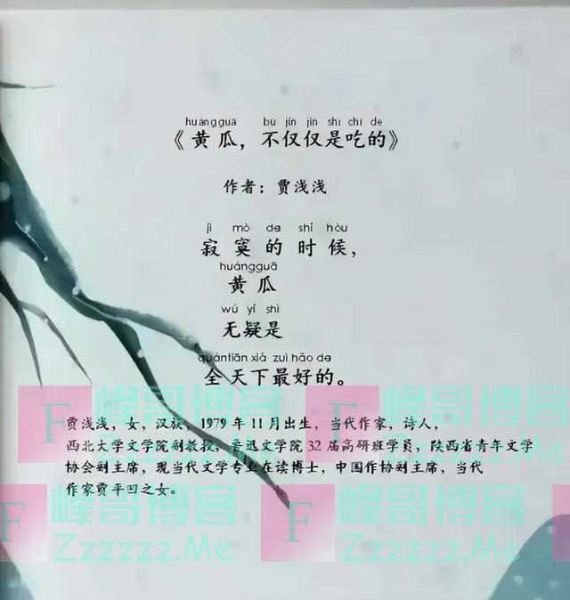 贾浅浅:黄瓜等多首网传诗歌非我所写,和我毫无关系