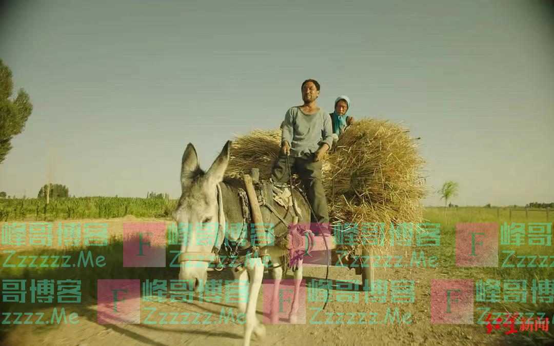 《隐入尘烟》票房逆袭 导演:差点让老婆演女主,演员多是自己家人