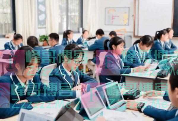 家里两个孩子：一个读公办学校，一个读私立学校，毕业后差别明显