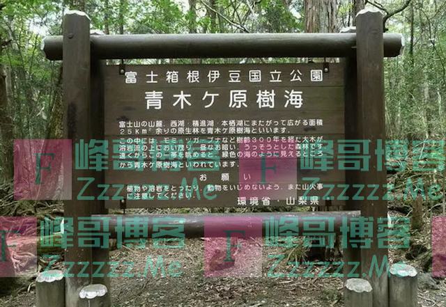 同一地点600人上吊自杀，警察去收尸都得绑绳，至今在日本存在