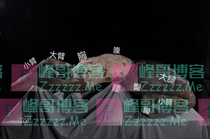 秦陵“仰卧俑”身上发现指纹印痕！比对指纹数据库发现…