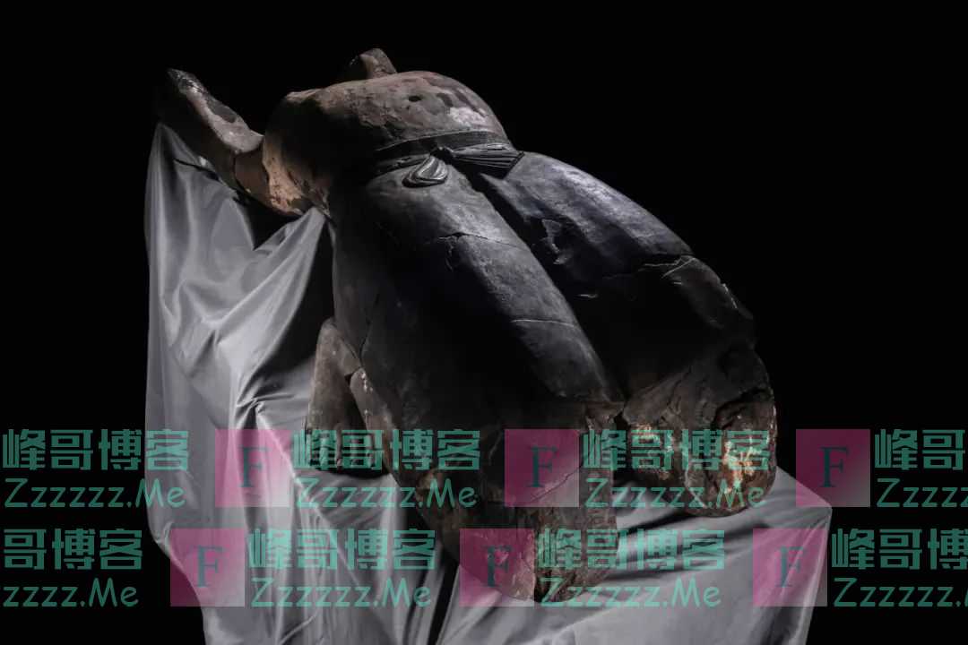 秦陵“仰卧俑”身上发现指纹印痕!比对指纹数据库发现…