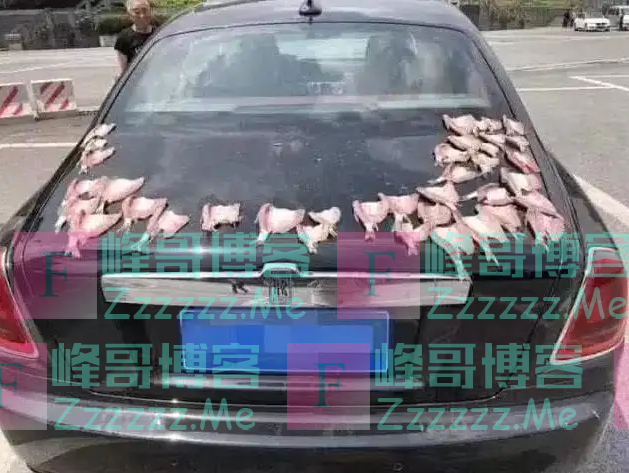 600万劳斯莱斯被用来晒鱼干,车主:我知道车很贵重,但不敢说话