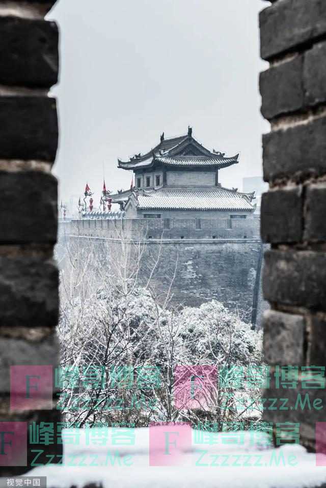 史上最划算的饭局：团建吃成了散伙饭