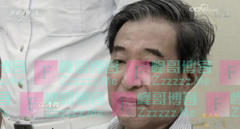 薄熙来、徐才厚、郭伯雄、孙政才、房峰辉、张阳等10个“老虎”，先后被写入《大事记》