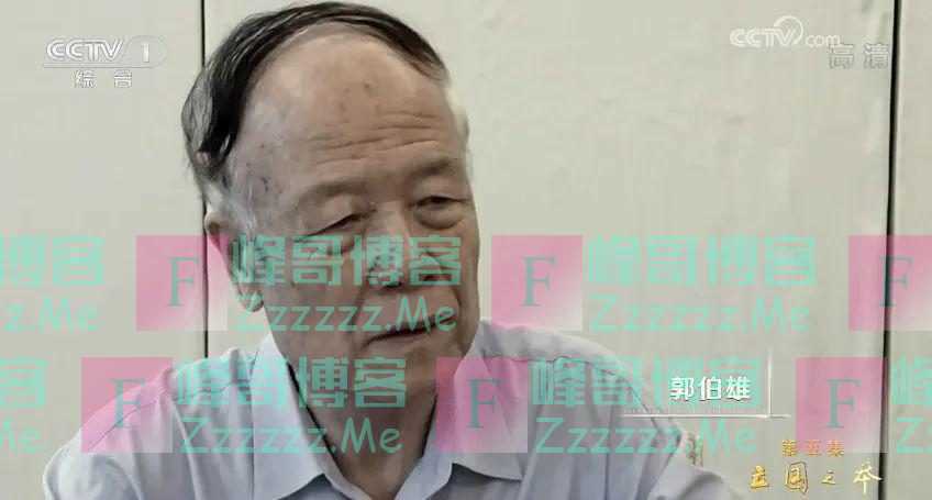 薄熙来、徐才厚、郭伯雄、孙政才、房峰辉、张阳等10个“老虎”，先后被写入《大事记》