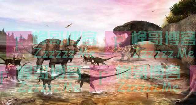 鸡为何每天都会下蛋?鸡蛋被拿后,它不生气吗?