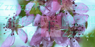 娶了三个妻子 但人人都说他“专情”