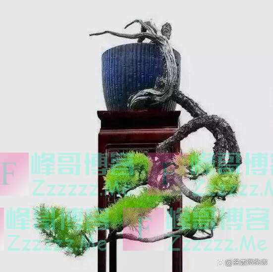 “狂草”般的盆景