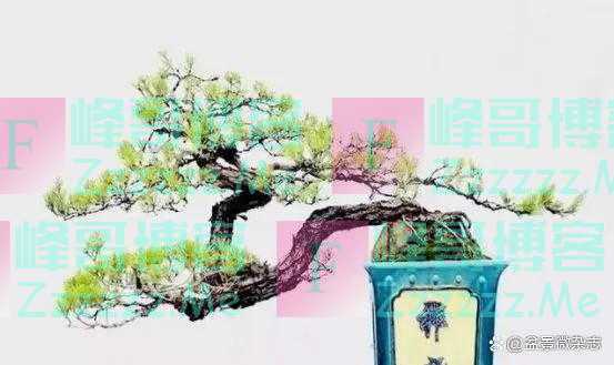 “狂草”般的盆景