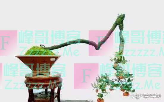 “狂草”般的盆景