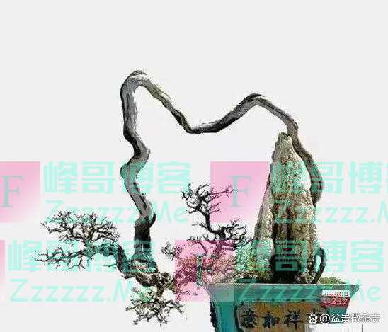 “狂草”般的盆景