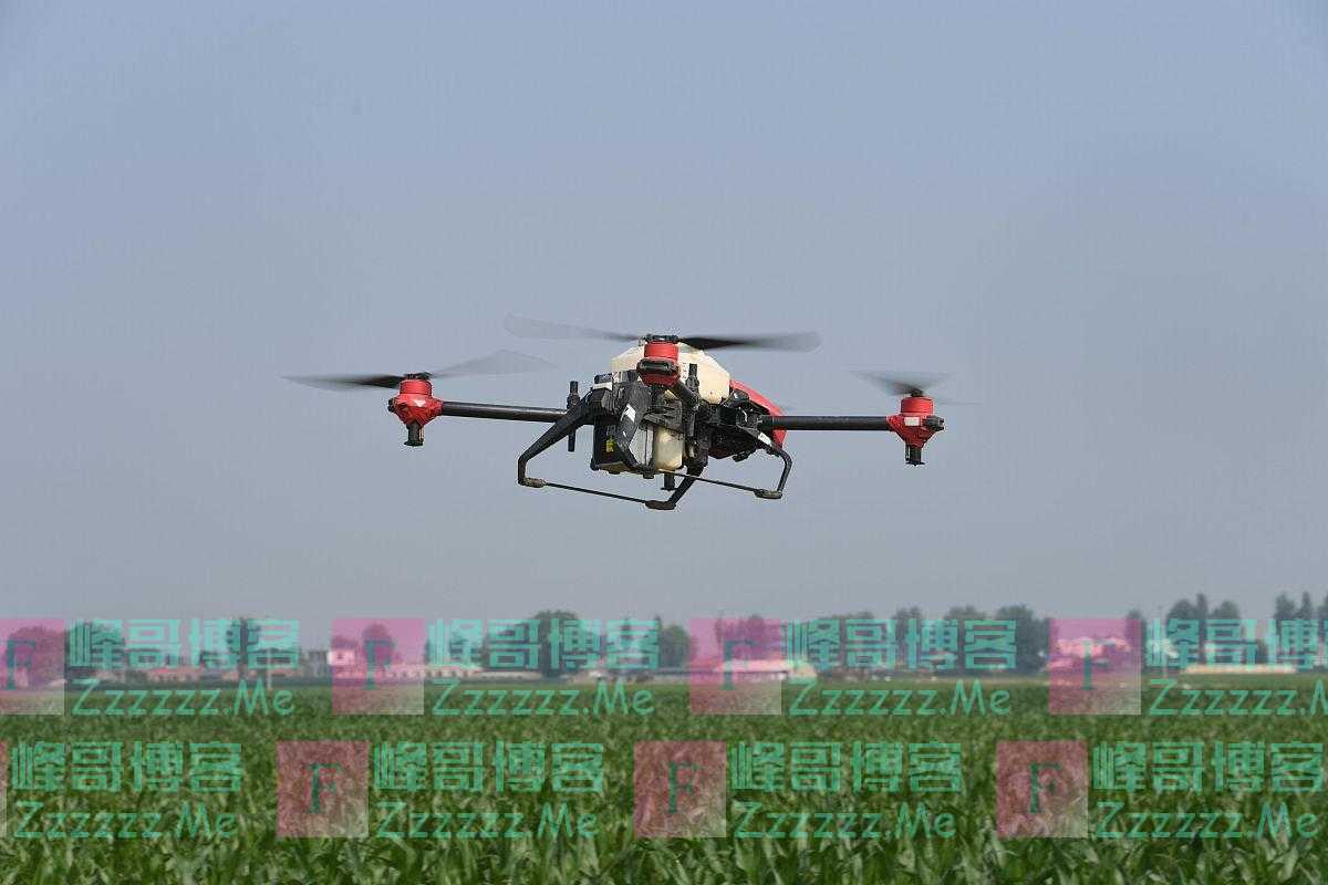 玉米化控后，还能追氮肥吗？应在哈时追肥