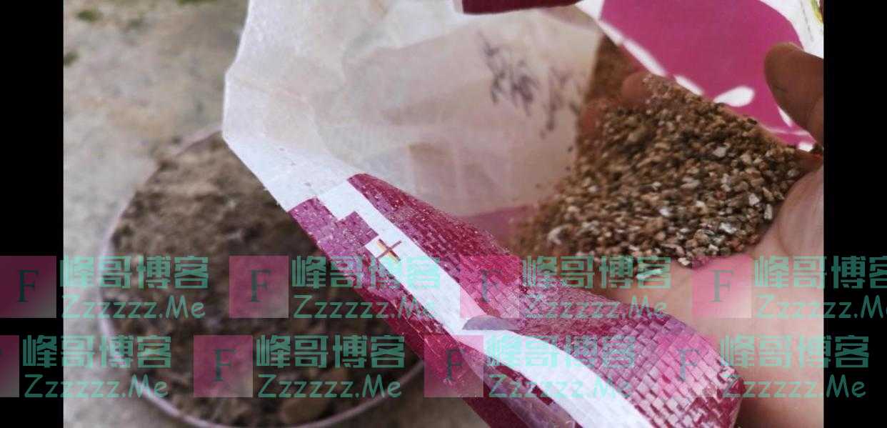 红酒盒子不要扔，种上多肉萌萌哒！