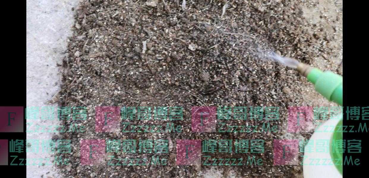 红酒盒子不要扔，种上多肉萌萌哒！