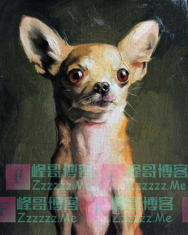 来自画家 Jennifer Gennari 绘画作品小合集