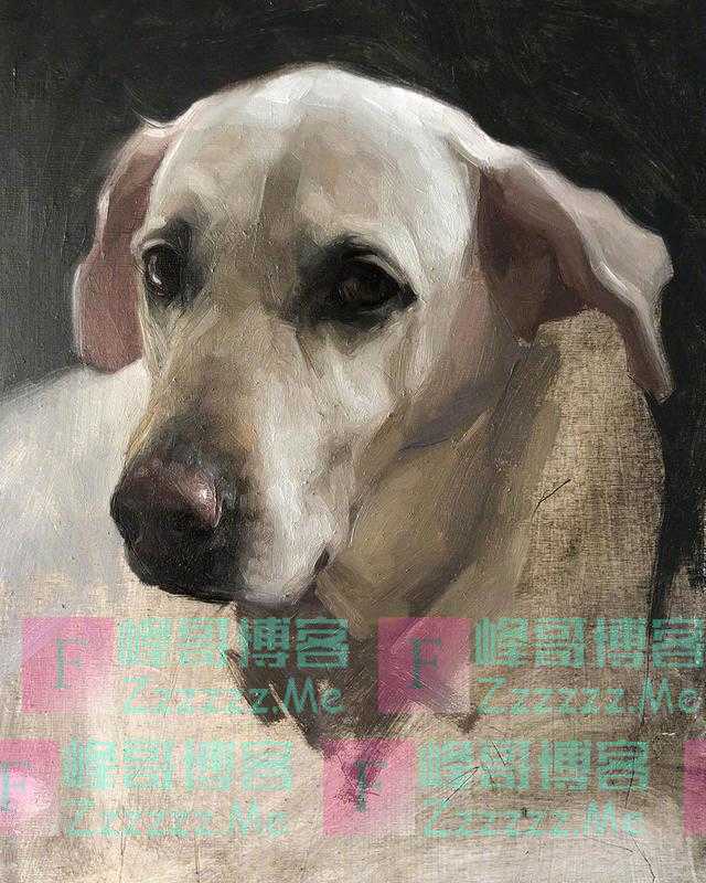 来自画家 Jennifer Gennari 绘画作品小合集