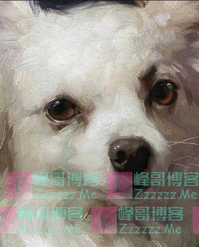 来自画家 Jennifer Gennari 绘画作品小合集