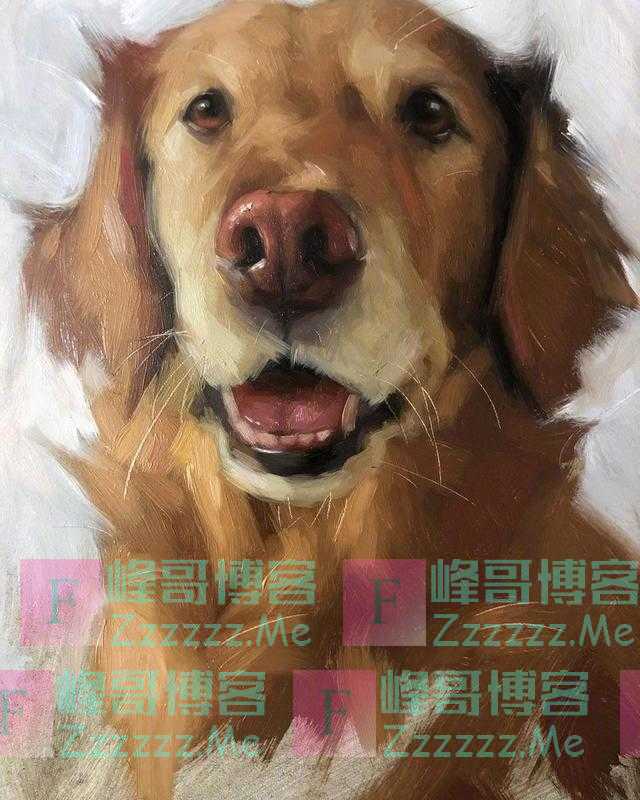 来自画家 Jennifer Gennari 绘画作品小合集