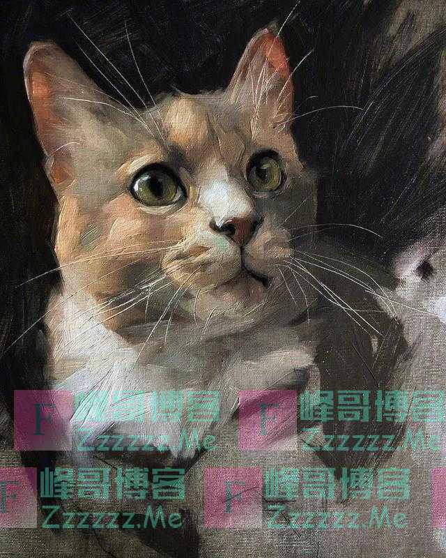 来自画家 Jennifer Gennari 绘画作品小合集