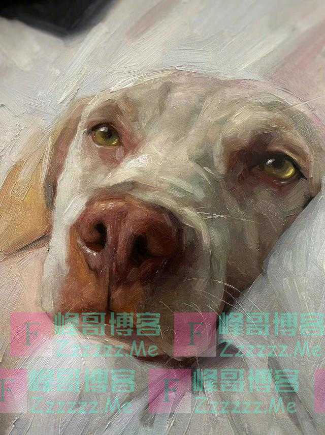 来自画家 Jennifer Gennari 绘画作品小合集