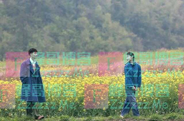 真实故事改编《山楂树之恋》文革时期最“纯真”的爱情