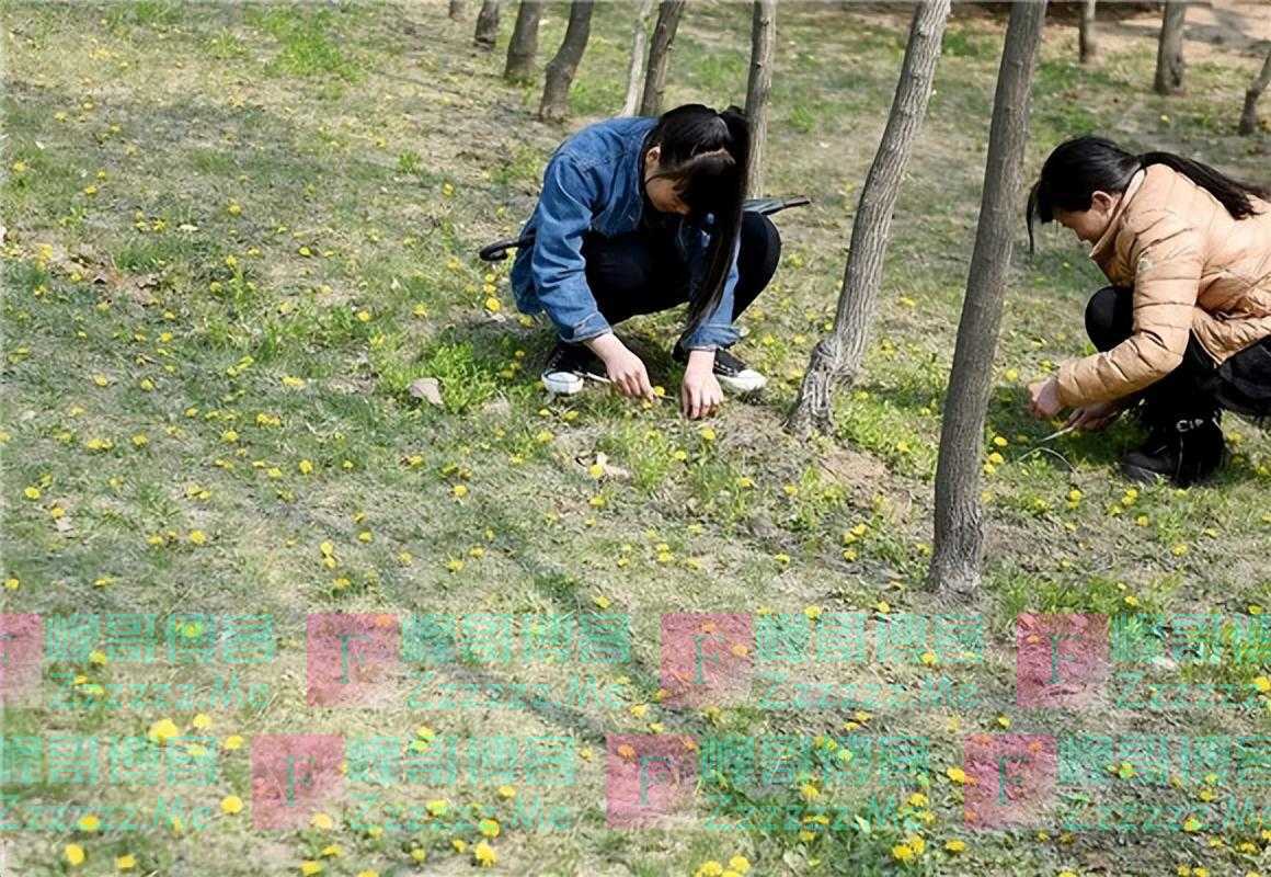 回顾 2岁男童掉进15米深井，仇人不顾危险舍命相救，现仇人变亲人