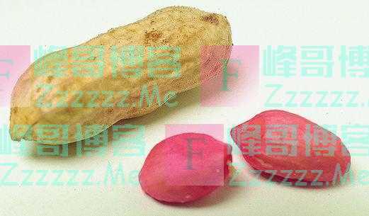 花生，是加速癌细胞扩散的“催化剂”吗？研究结果公布